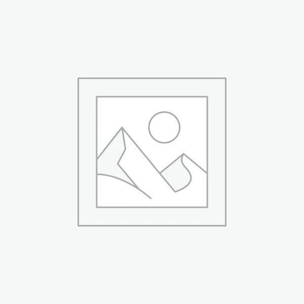 Lenovo 15.6" Value Laptop Backpack B510